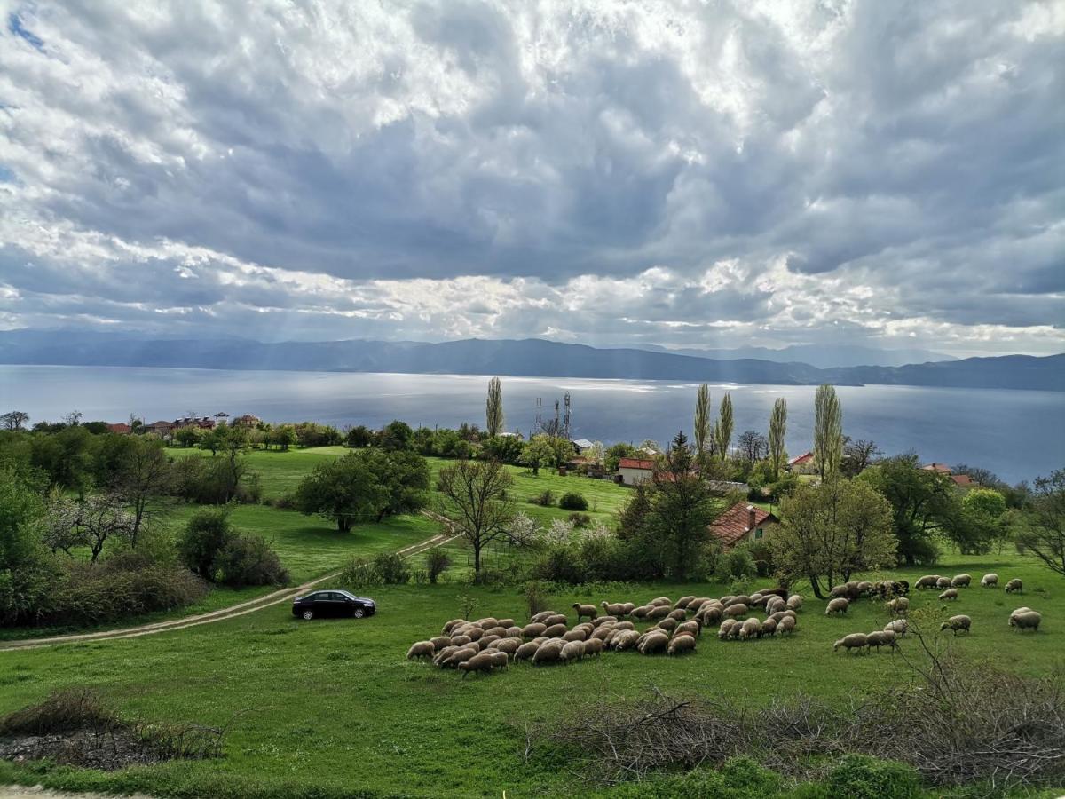 Grkasha * Οχρίδα